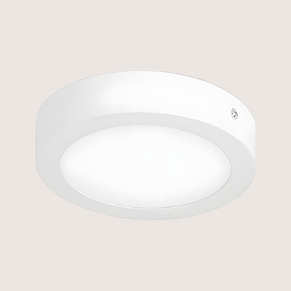 Easy Flush Ceiling Light