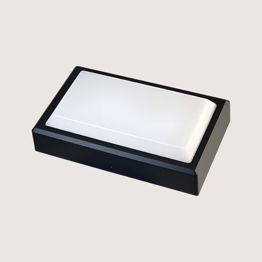 Exterior Surface-Mounted Outdoor Wall Light