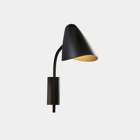 Organic Shape Indoor Wall Light