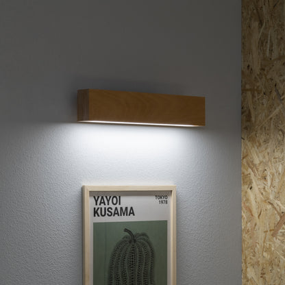 Craft Contemporary Indoor Wall Light
