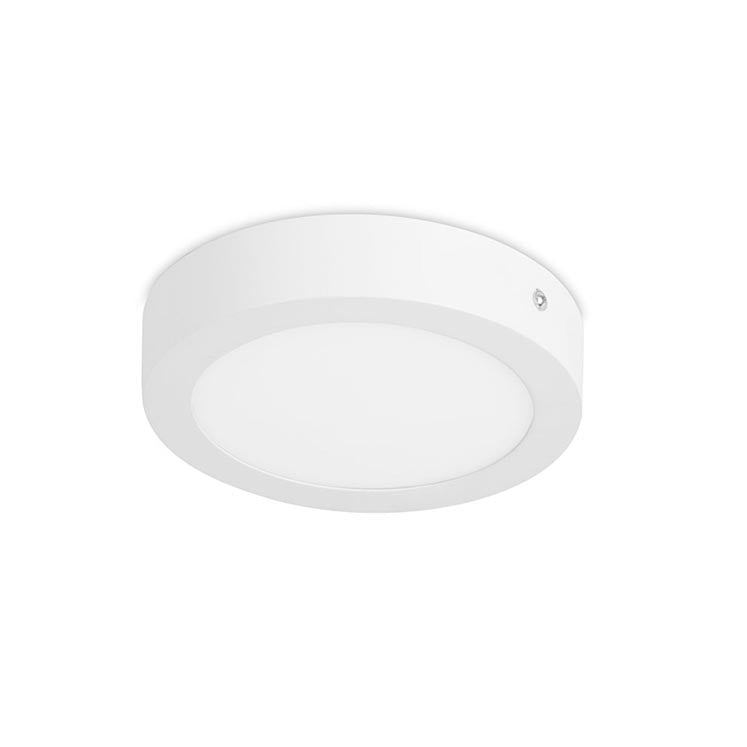 Easy Simple Flush Ceiling Light