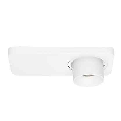 Beebo Flush Ceiling Light