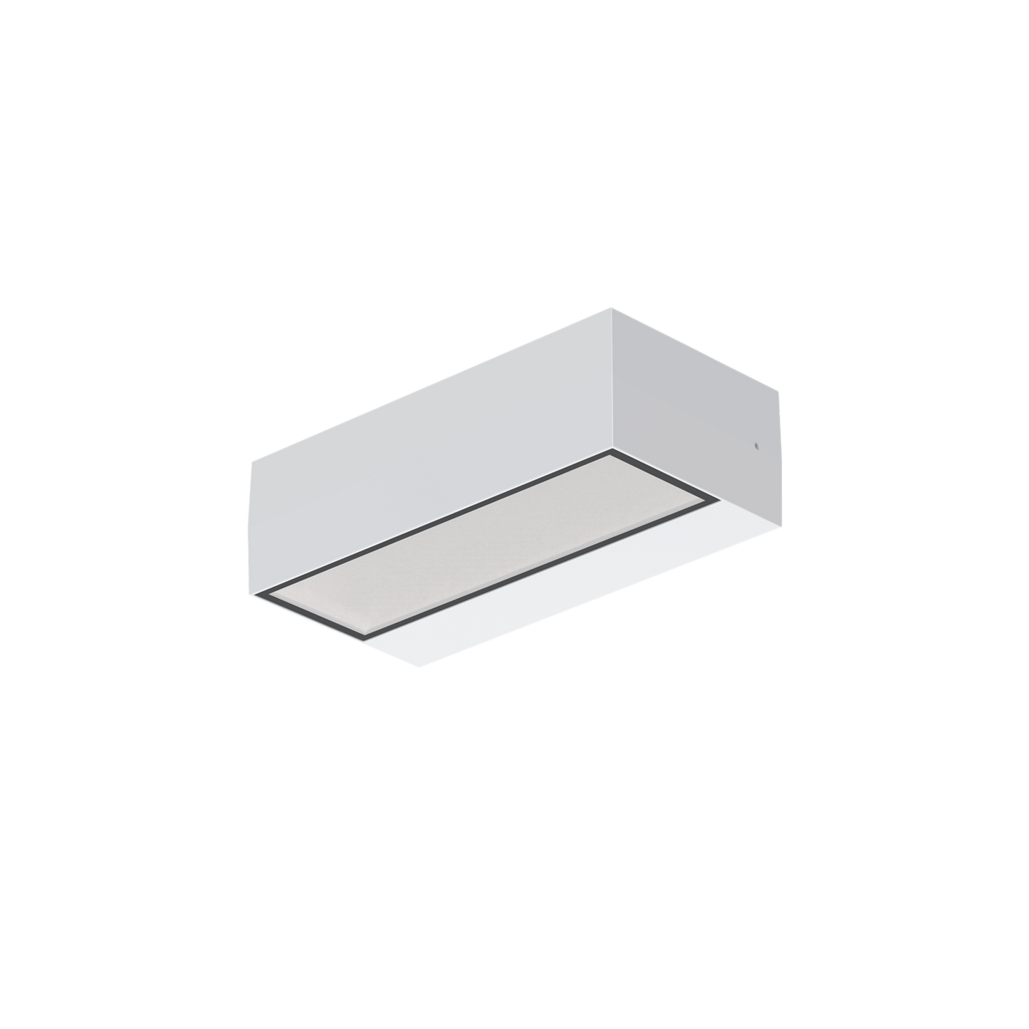 Box IP65 Indoor / Outdoor Up and Down Wall Light — 200mm or 300mm