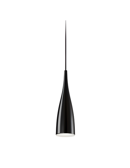 Clear Glass Pendant Light