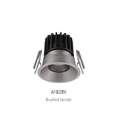 Architectus Tiltable Downlight
